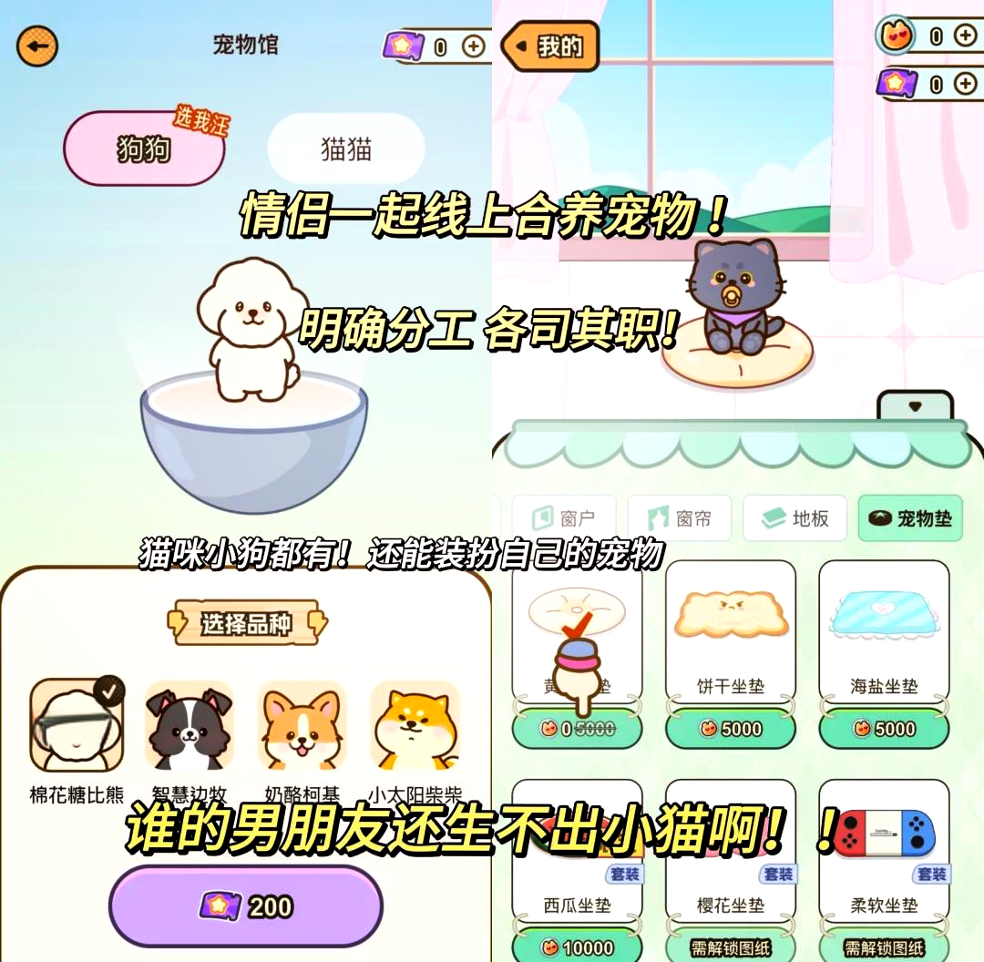 养猫的app下载_(养猫软件是什么意思)