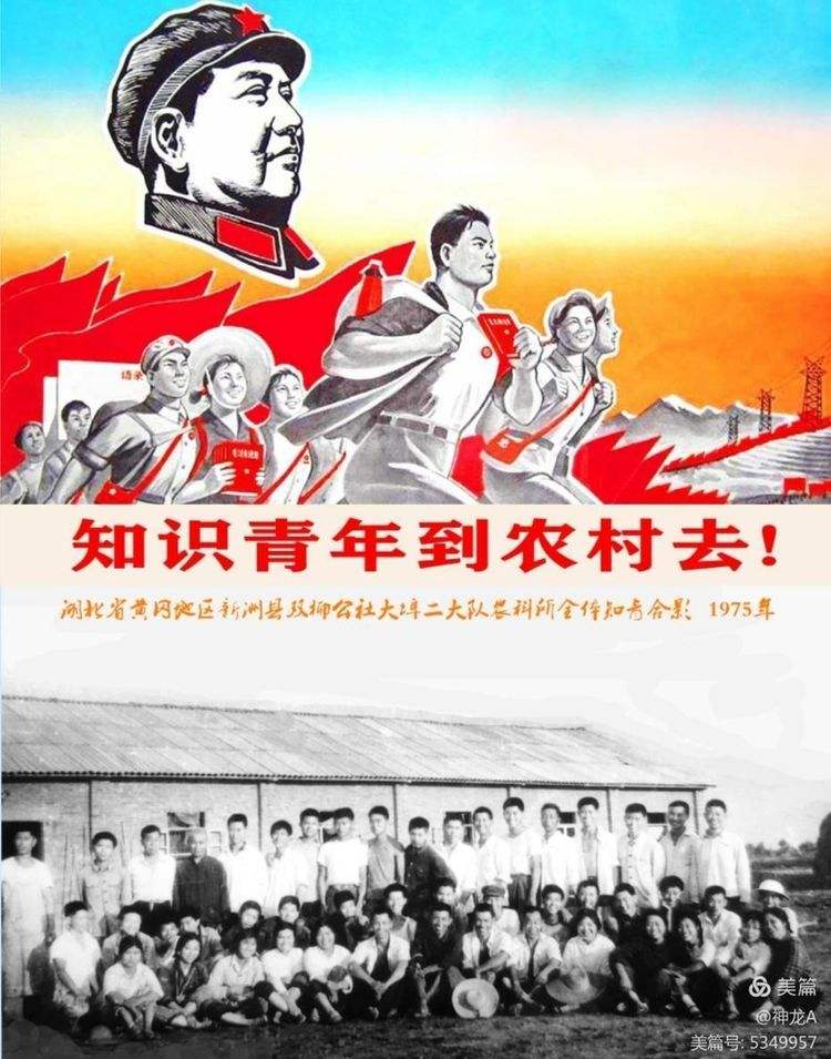 知青小说下载-(重生1974大青山大队知青小说)